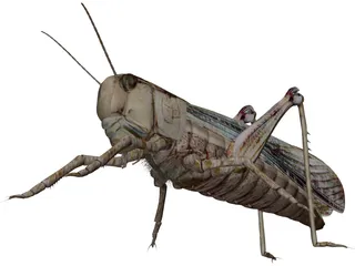 Grasshopper 3D Model