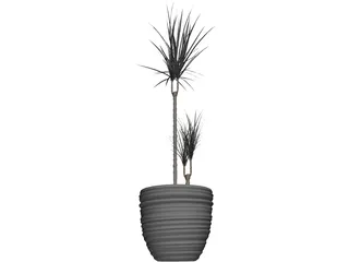 Plant 3D Model