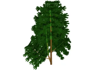 Juniper Bush 3D Model