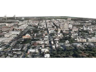 Savannah City 3D Model