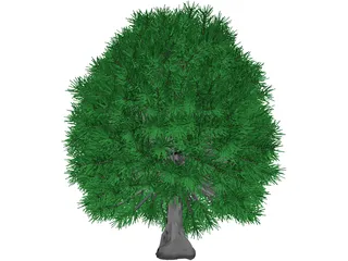 Tree 3D Model