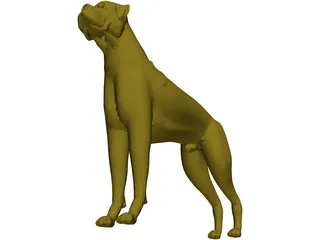 Dog Boxer 3D Model