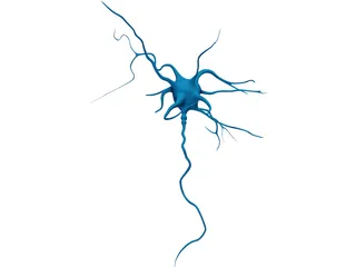 Neuron 3D Model