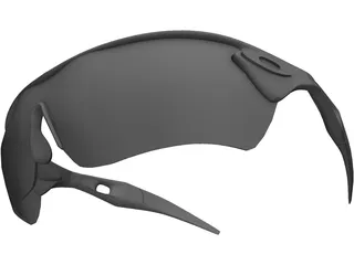 Sunglasses 3D Model