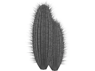 Cactus 3D Model