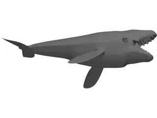 Whale 3D Model