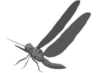 Dragon Fly 3D Model