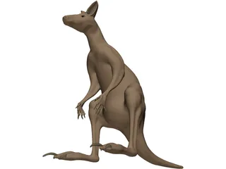 Kangaroo 3D Model