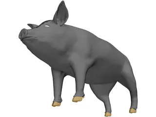 Pig 3D Model
