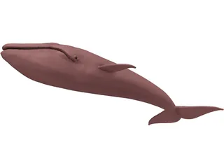 Whale Blue 3D Model