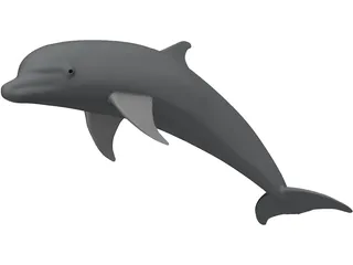 Dolphin Bottle-Nosed 3D Model