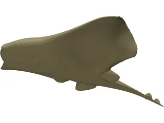 Devilfish 3D Model