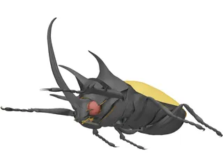 Eupatorus Gracilicornis 3D Model