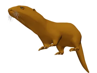 Otter 3D Model