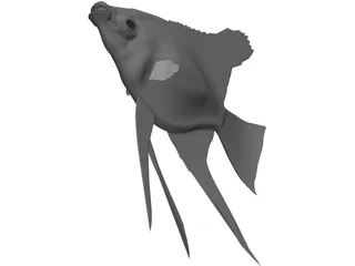 Pterophyum Scalare 3D Model