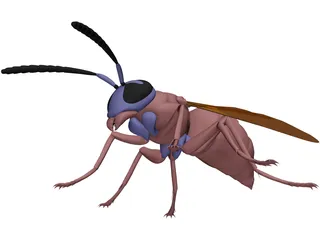 Wasp 3D Model