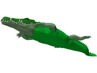 Crocodile 3D Model