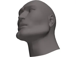 Head Male 3D Model