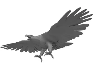 Eagle 3D Model