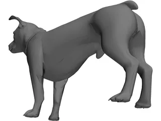 Dog 3D Model