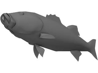 Fish 3D Model