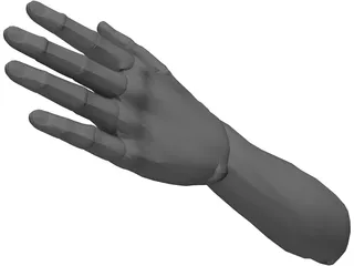 Hand Male 3D Model