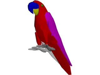 Macaw Hyacinth 3D Model