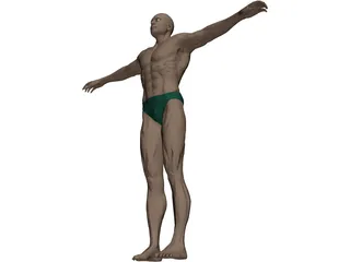 Swimmer Athlete 3D Model