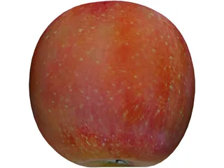 Apple 3D Model