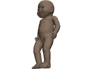 Newborn Baby 3D Model