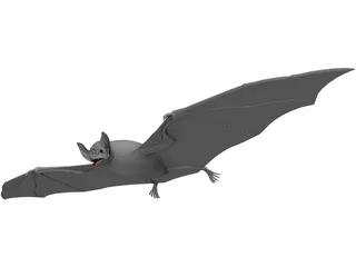 Vampire Bat 3D Model