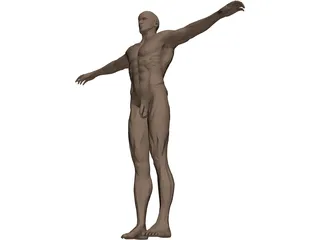 Man 3D Model