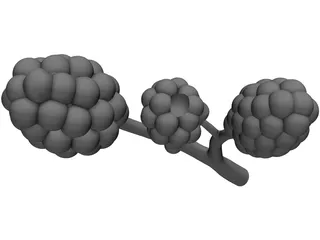 Alveoli 3D Model