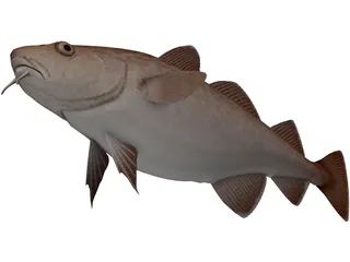 Pacific Cod 3D Model