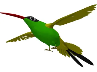 Hummingbird 3D Model