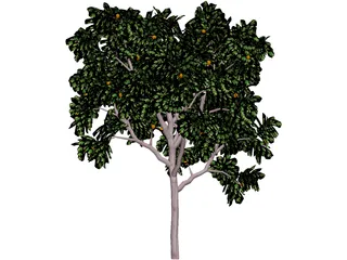 Zitronenbaum 3D Model