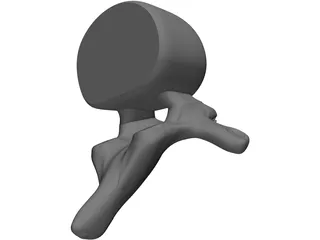 Spine 3D Model