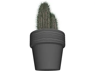 Cactus 3D Model