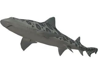 Leopard Shark 3D Model