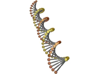 DNA Model 3D Model