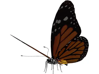 Butterfly 3D Model