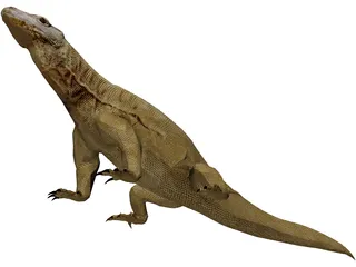 Komodo Dragon 3D Model