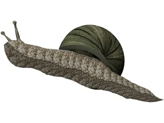 Snail 3D Model