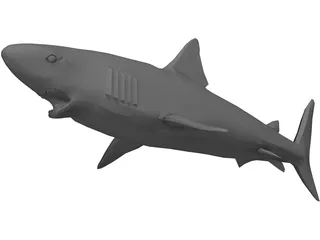 Shark Great White 3D Model