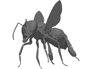 Bee 3D Model