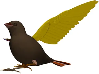 Sparrow 3D Model