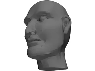 Head Male 3D Model