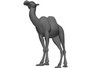 Camel 3D Model