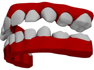 Teeth Childs 3D Model