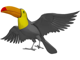 Toucan 3D Model